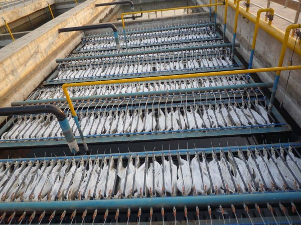 污水處理設(shè)備中超濾膜技術(shù)有哪些功能和應(yīng)用？