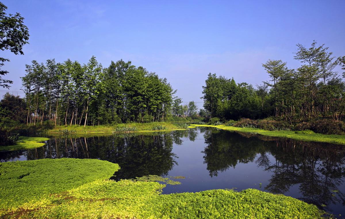 生活污水怎么處理？人工濕地or生活污水處理設(shè)備？
